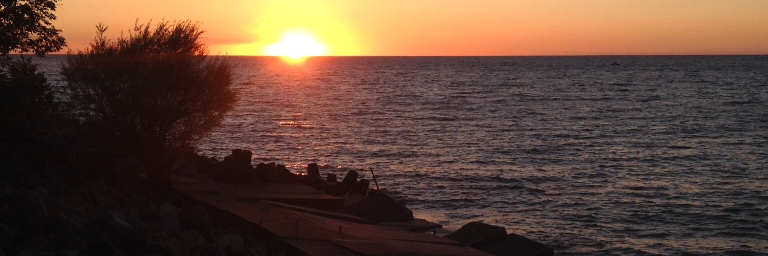 TypicalTim_'s profile banner image