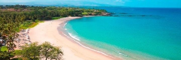 BeachbumTM's profile banner image