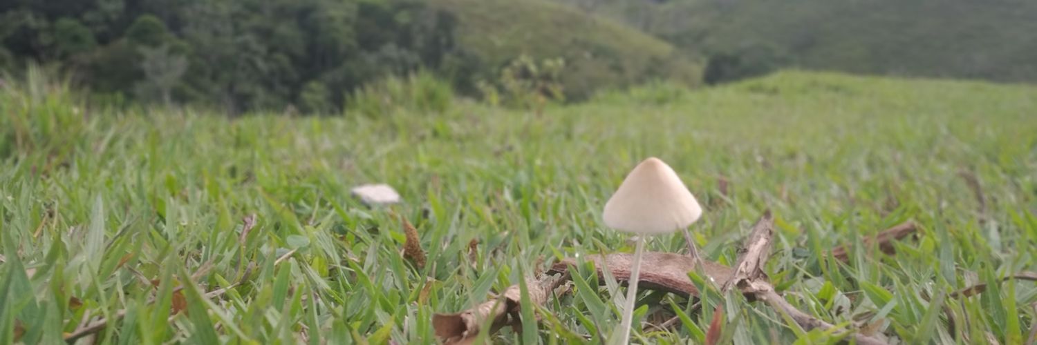 Yeuxez's profile banner image