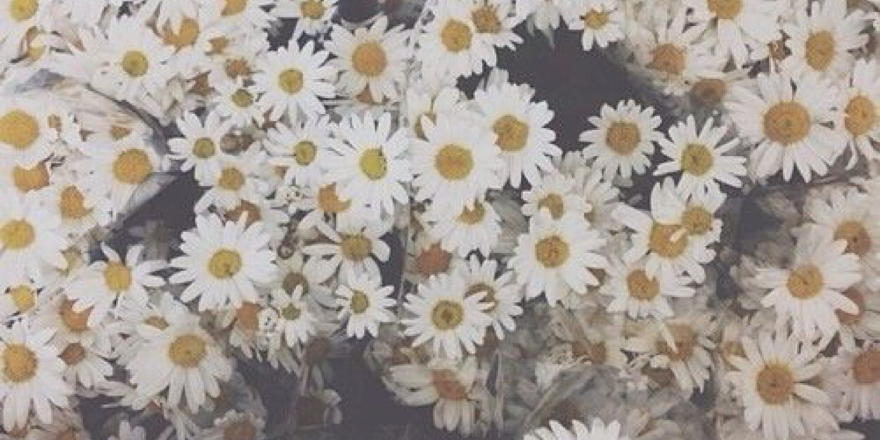 Asmaasaj_'s profile banner image