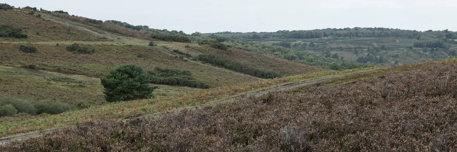 AshdownForestTourism banner