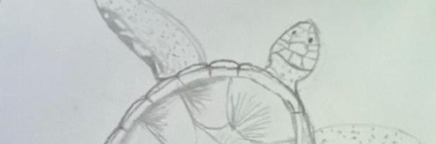 Niferi1397's profile banner image