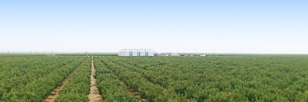 SettonFarms Profile Banner