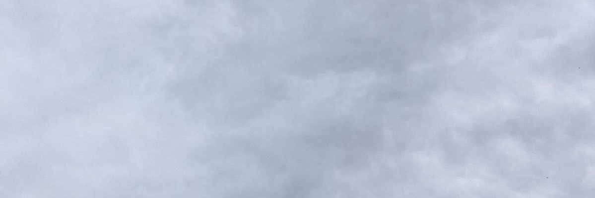 samansza's profile banner image