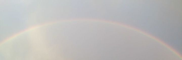 danielaaamor's profile banner image