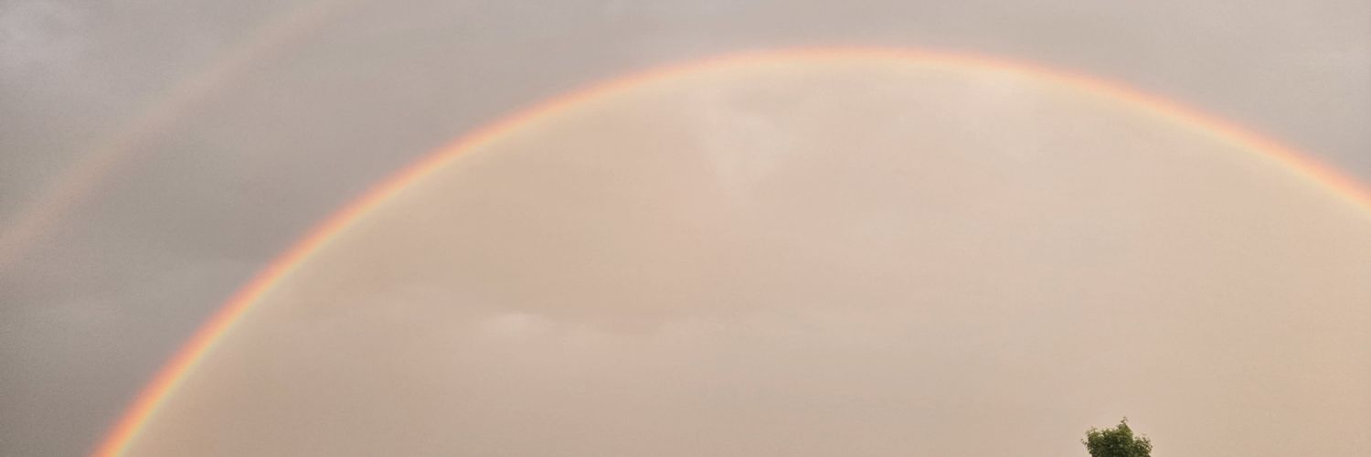 laniv_0108's profile banner image