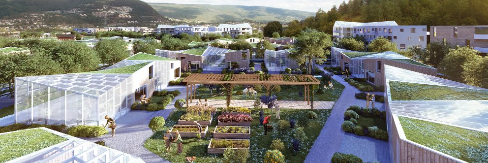 arne  myklestad banner