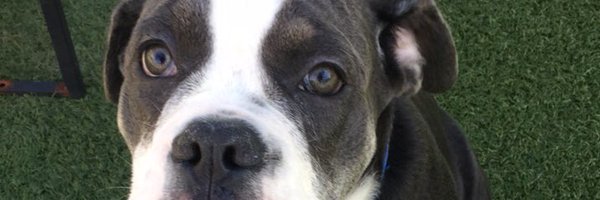 7yland Profile Banner