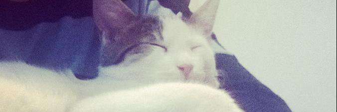 LuuRosas3's profile banner image