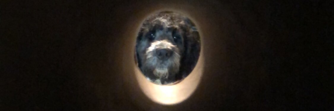 erinhill600's profile banner image