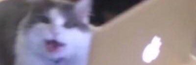 naruto pilled mik banner