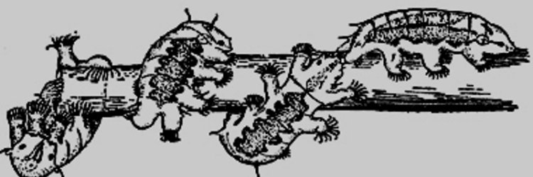 cmlassuncao's profile banner image