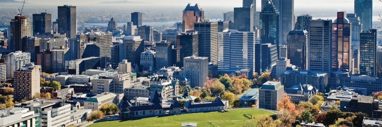 Dominique Bérubé banner