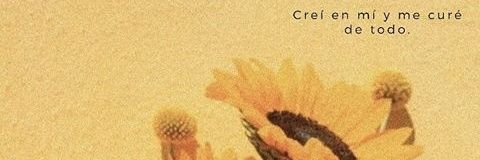 VeronCami's profile banner image