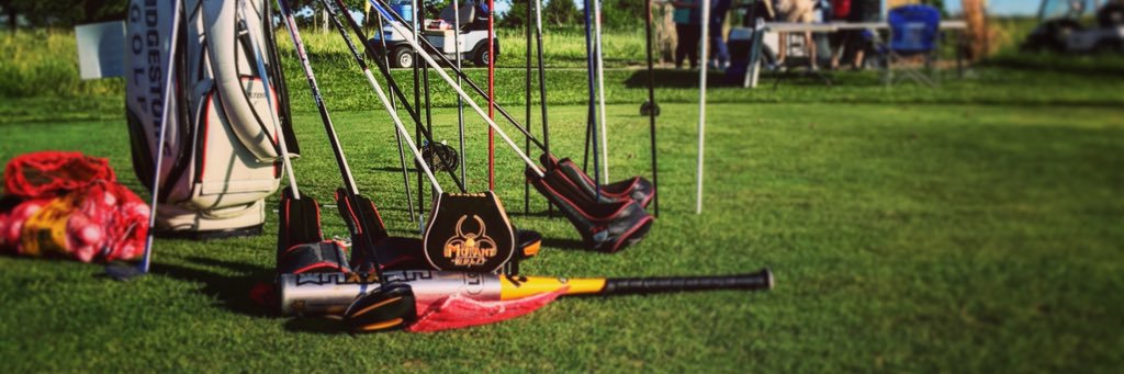 Paddy Whack Golf banner