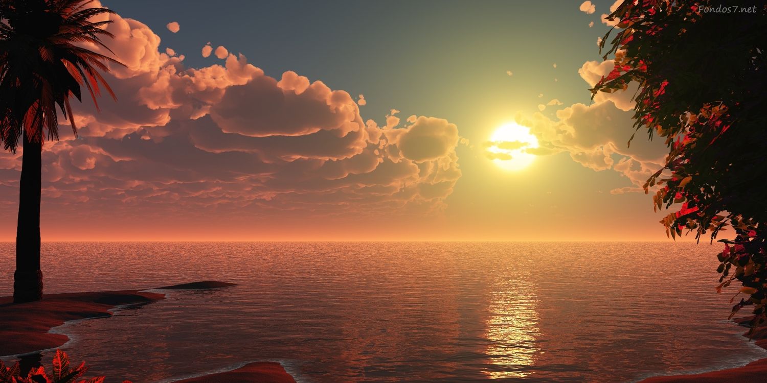 lcara37's profile banner image