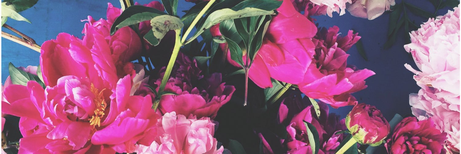 mirabellaj's profile banner image