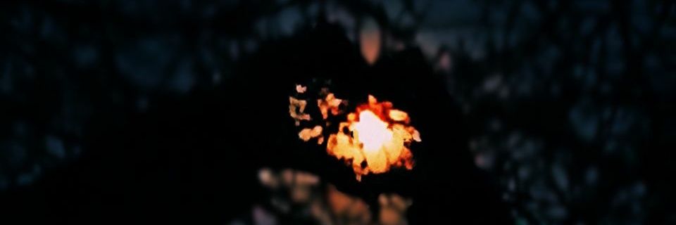nmv_ya's profile banner image