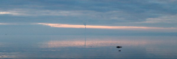 AmalieMersh Profile Banner