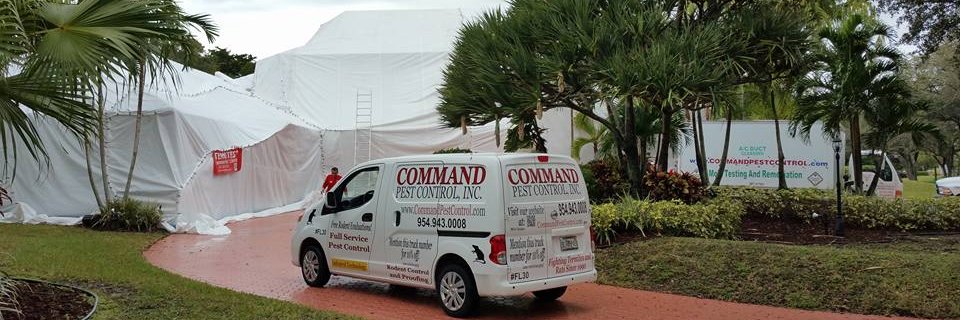 commandtermite's profile banner image