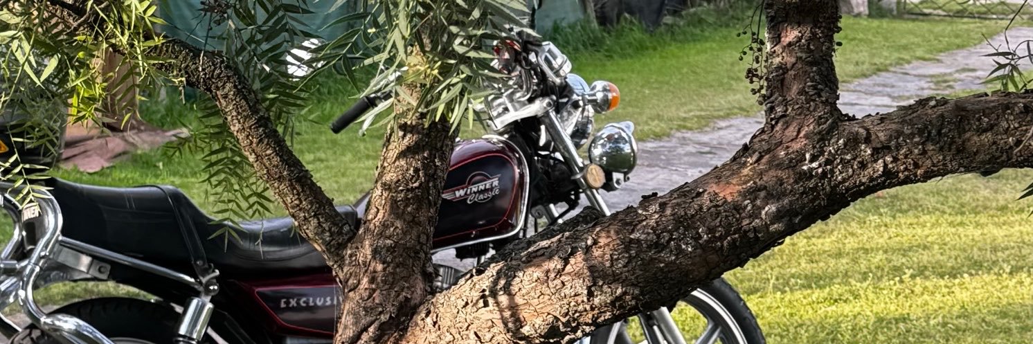 MathiOngaro's profile banner image