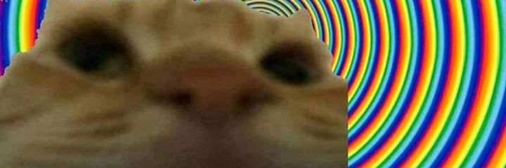 PurpleDream__'s profile banner image