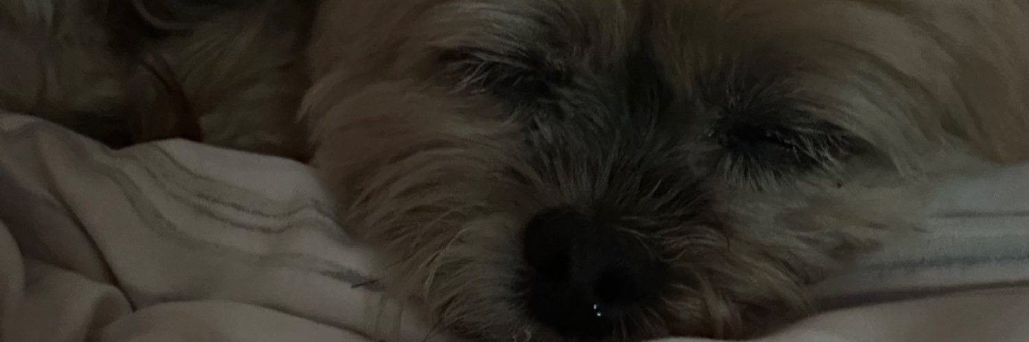 gyuarfield's profile banner image
