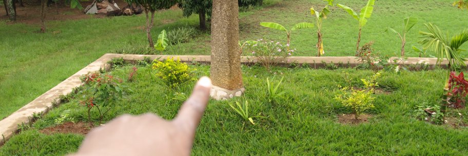 ouambeti's profile banner image