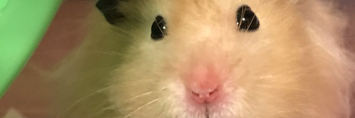 josephtran0's profile banner image
