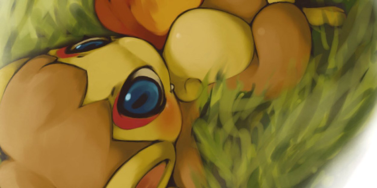 SillyChimChar's profile banner image