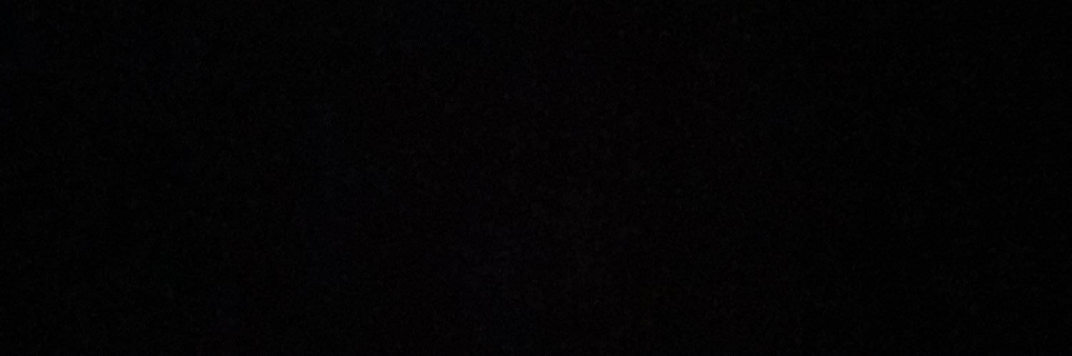 viktorrickhamn's profile banner image