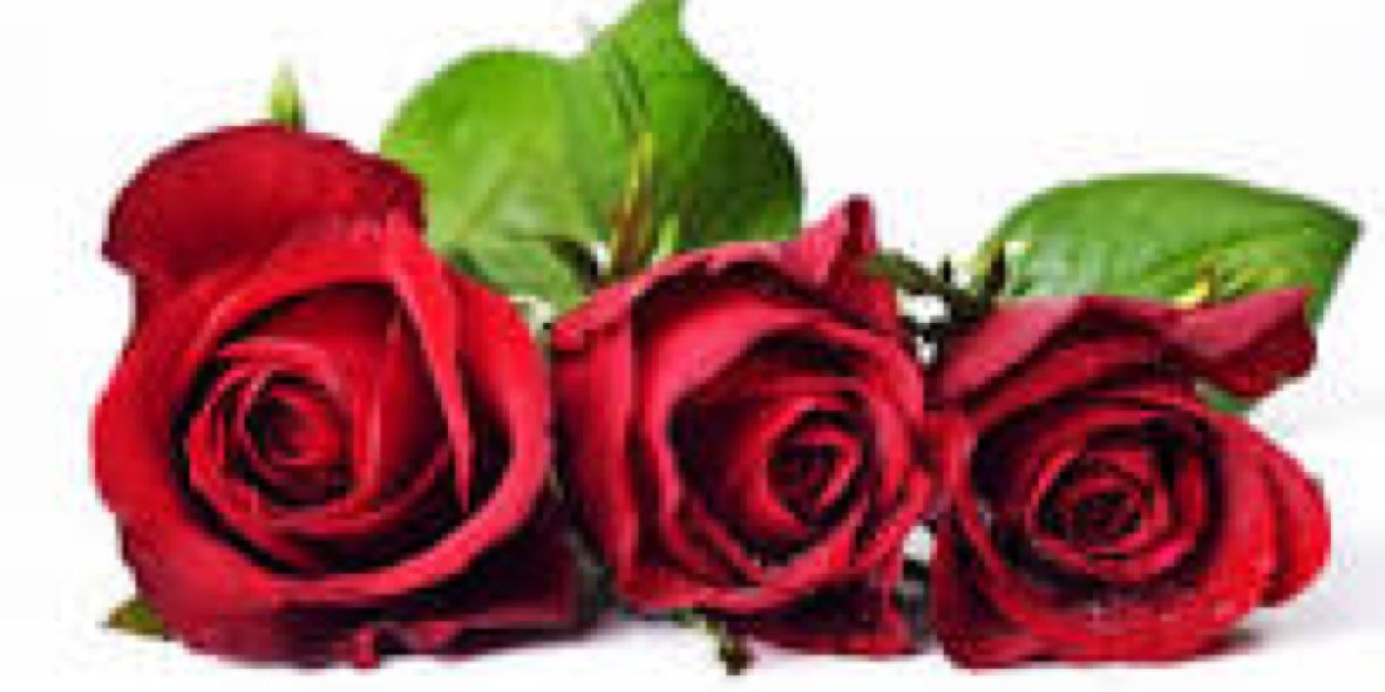 BachelorWes's profile banner image