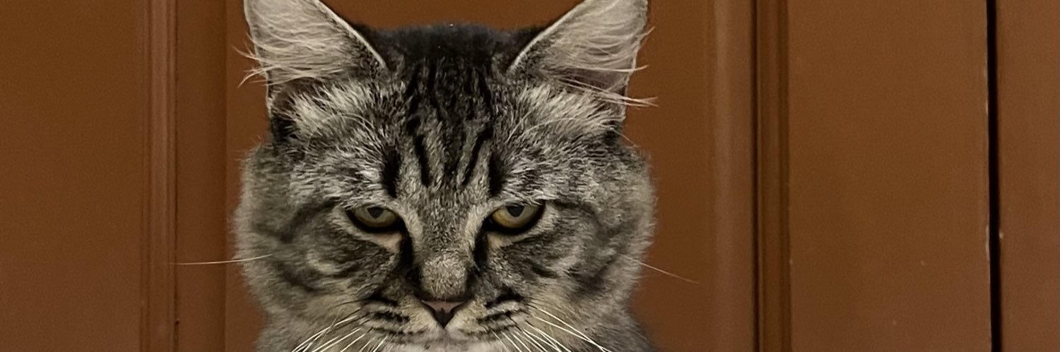 pxmpkin's profile banner image