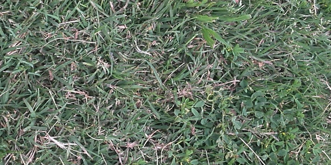 MuozLolo's profile banner image