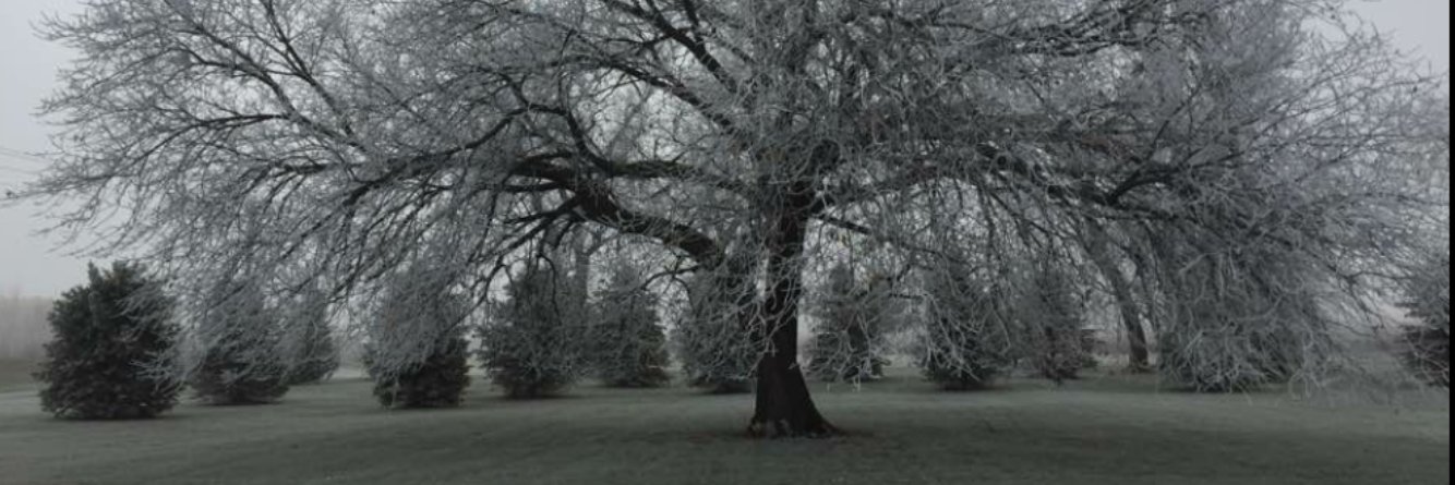 DaniKate4's profile banner image