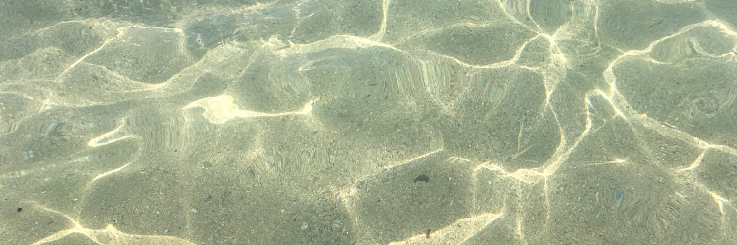 binickbul's profile banner image