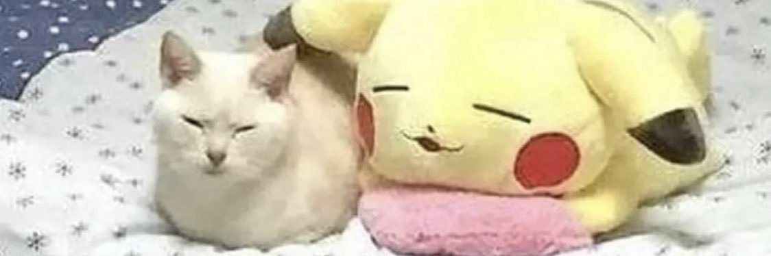 mathildamclr's profile banner image