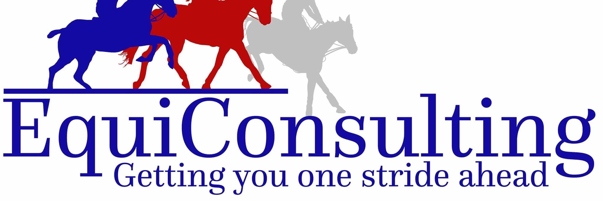 EquiConsulting banner