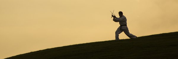 KungFuElliot Profile Banner