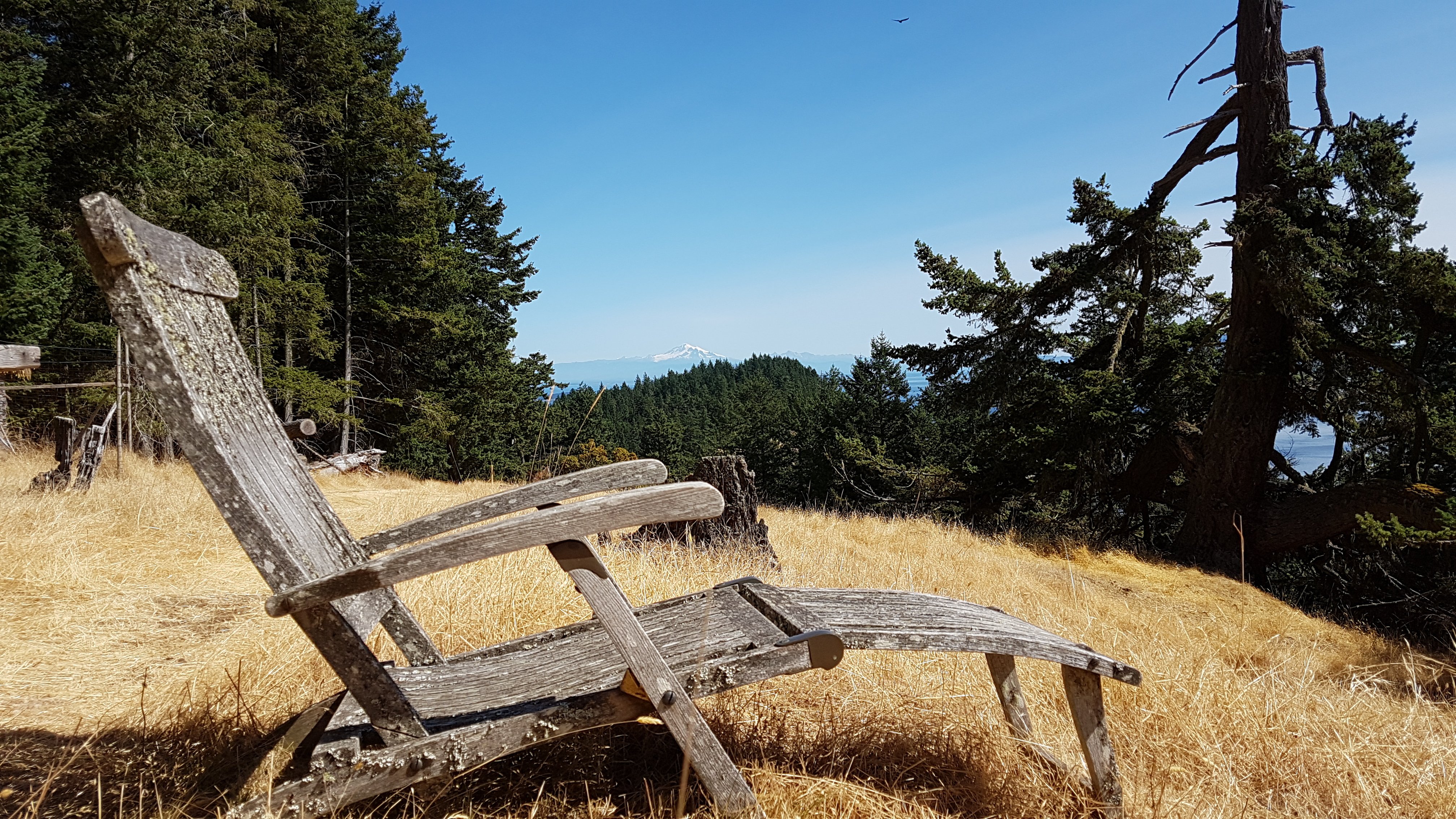 graceyjennifer's profile banner image