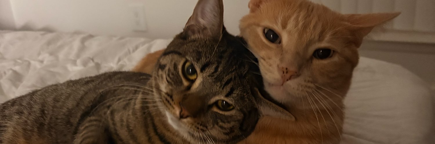 WUZZWRLD's profile banner image