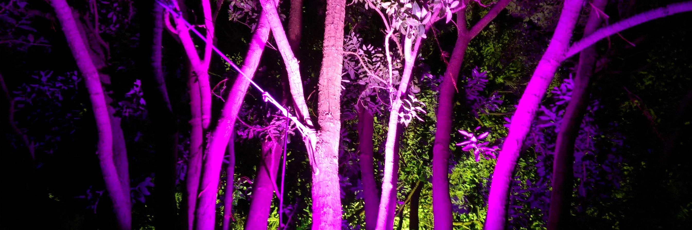 MsFinn's profile banner image