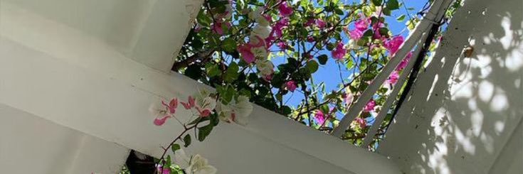 julyleiii's profile banner image