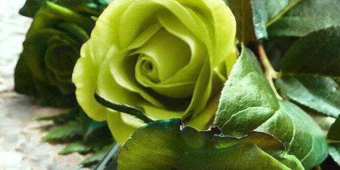 emanalimpieza banner