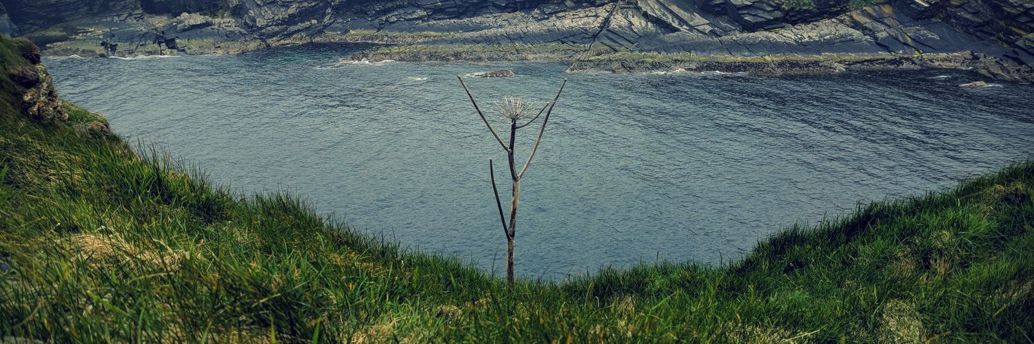 Zetterbergin's profile banner image