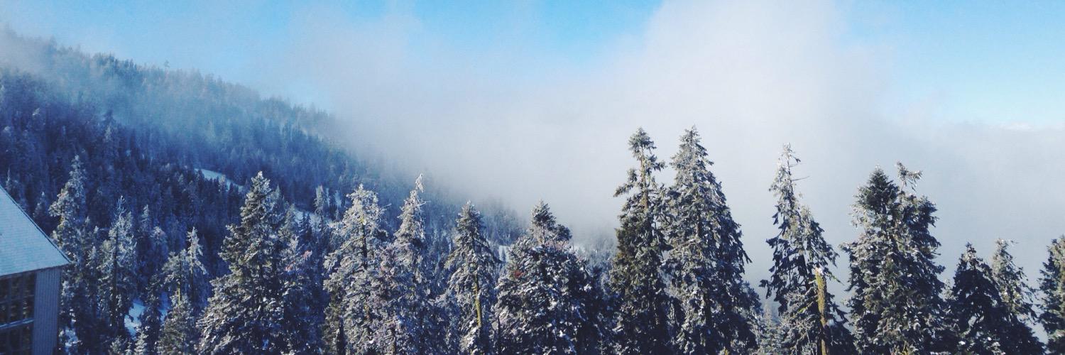 macegod_'s profile banner image