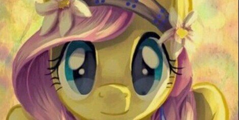 zora_bronson's profile banner image