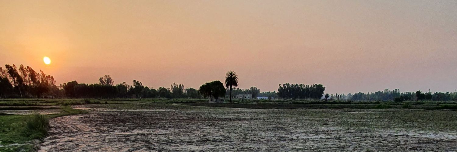 Ravi51ngh's profile banner image
