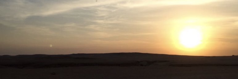 AreejAlSh's profile banner image