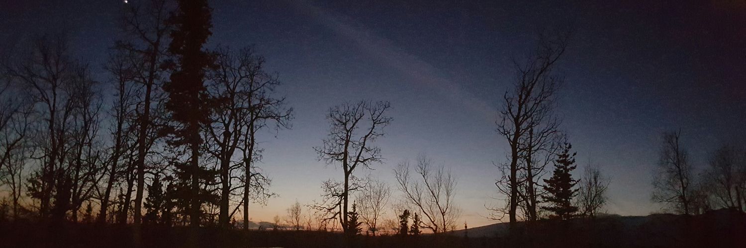 my_tyna's profile banner image